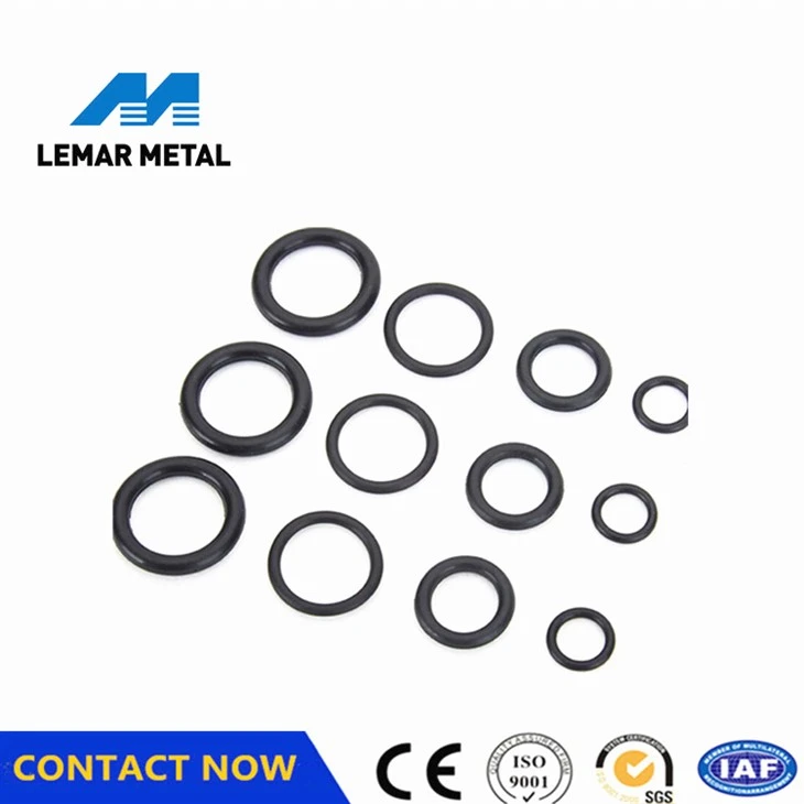 Oil Seal O-ring